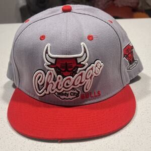 ’47 Chicago Bulls NBA Hardwood Classics Snapback Cap Gray Red One Size